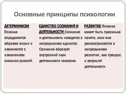 Принципы психологии примеры