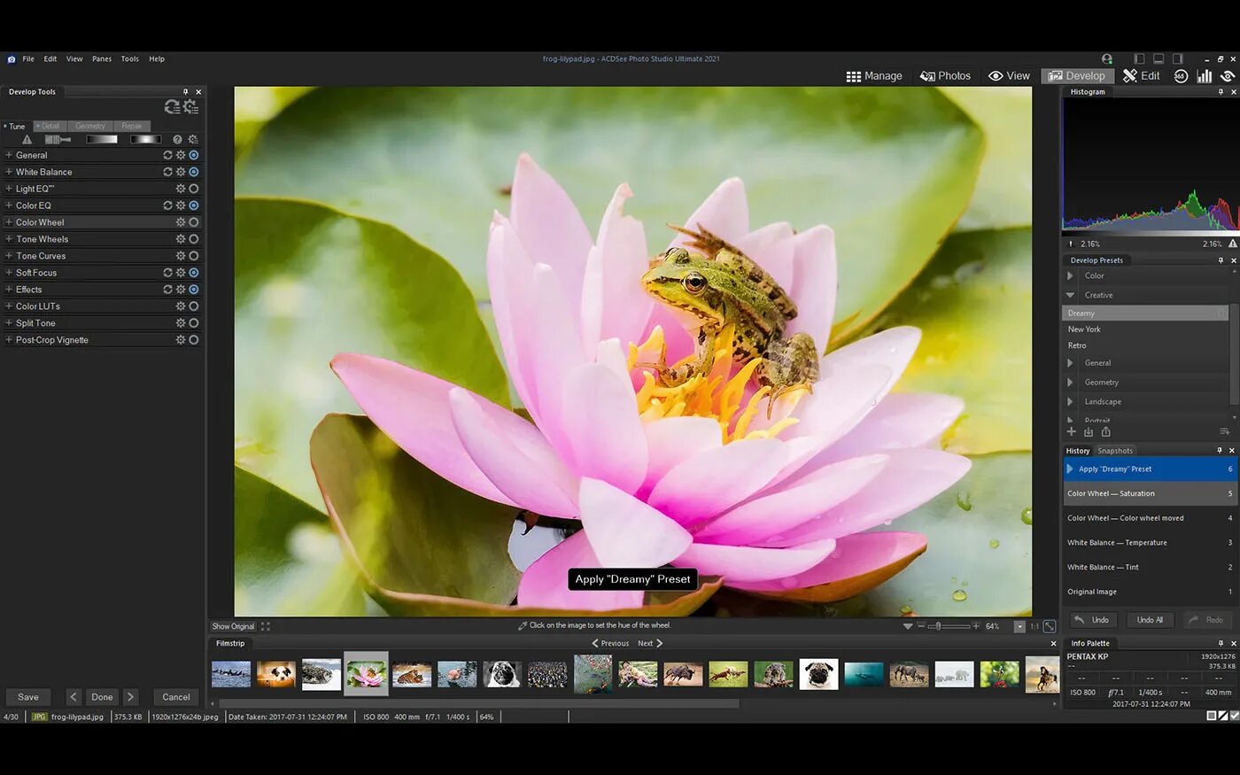 Acdsee 2025. Acdsee photo. acdsee photo studio. acdsee 7. acdsee photo studio ultimate.
