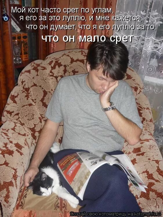 Черный кот на унитазе. Как покакать. Какать. Часто какаю форум. Котенок какает.