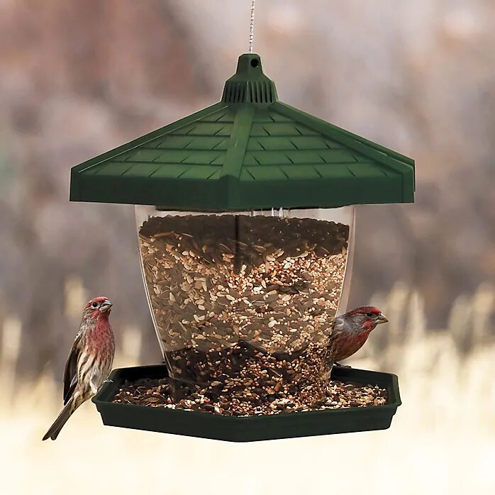 Кормушка деревянная. Кормушка для птичек. Кормушка для птиц. Кормушка для птиц большая деревянная. Круглая кормушка для птиц.