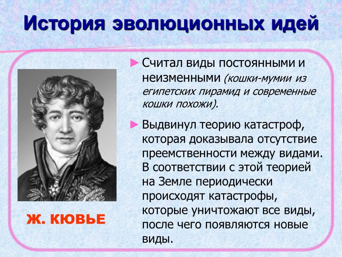 История развития эволюционных идей. Теория типов Кювье. Эволюционные идеи в биологии. Эволюционные идеи таблица