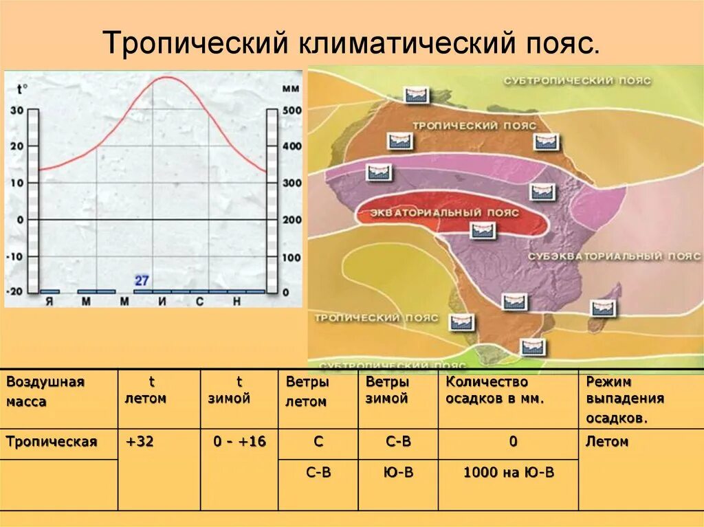 Тропический климатический пояс. Климат тропического пояса. Климатические пояса тропический пояс. Тропический климатический пояс климат