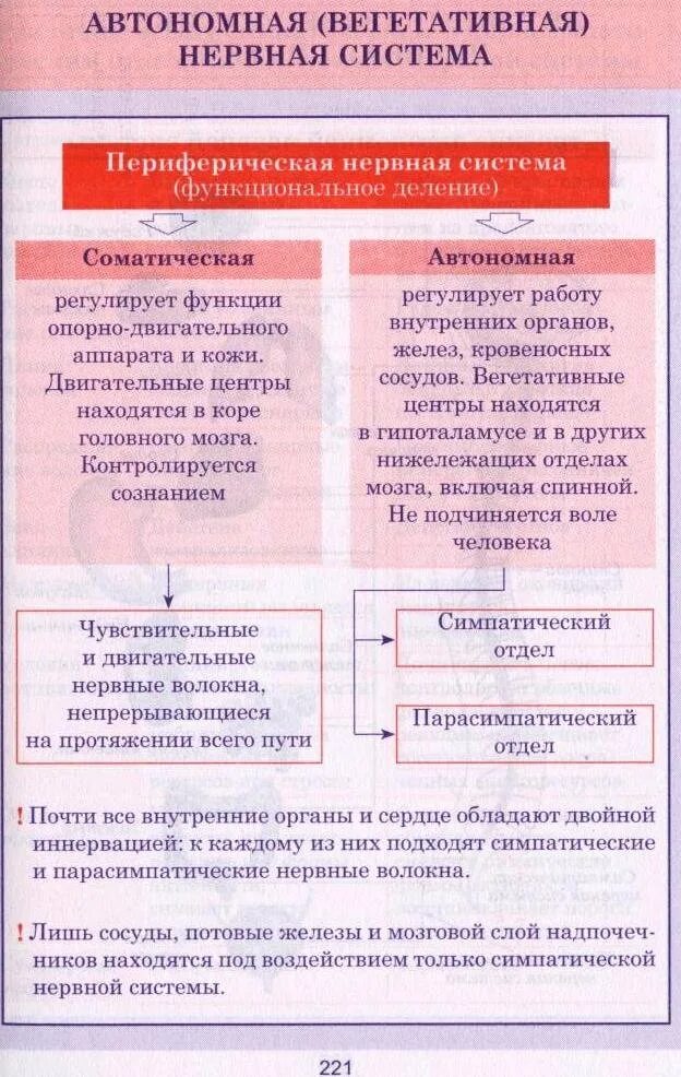 Функции соматической нервной системы и вегетативной нервной системы. Соматическая и вегетативная нервная система таблица. Таблица соматическая и вегетативная нервная система 8 класс. Вегетативная нервная система схема таблица.