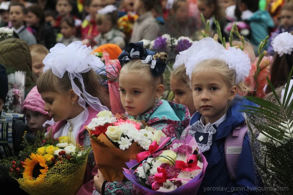 Сайт школы 131 нижний новгород. Первое сентября 1 класс. 1 Сентября дети. Школа 85 Нижний Новгород. Школа 131 Нижний Новгород.