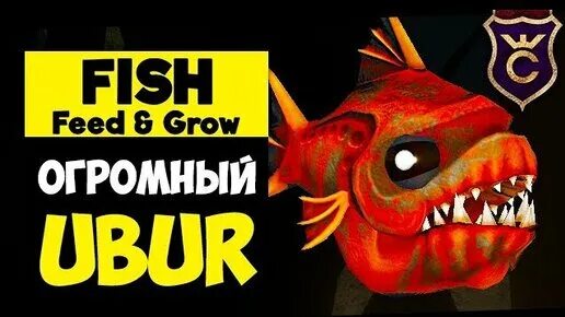 Фит энд гроу. Feed and grow: fish. фит энд гоу фиш. фид энд рид. ult yf[jlbncz rjhfktdcrbq rhf, d abn &#039;y uhje abi.