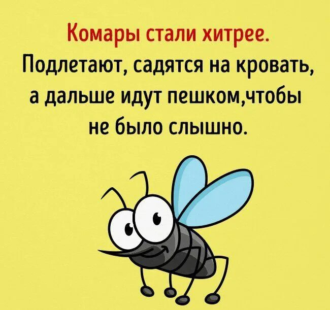 Всемирный день комара. День комара открытки. Комары мемы. Веселый комар. Комар карикатура.