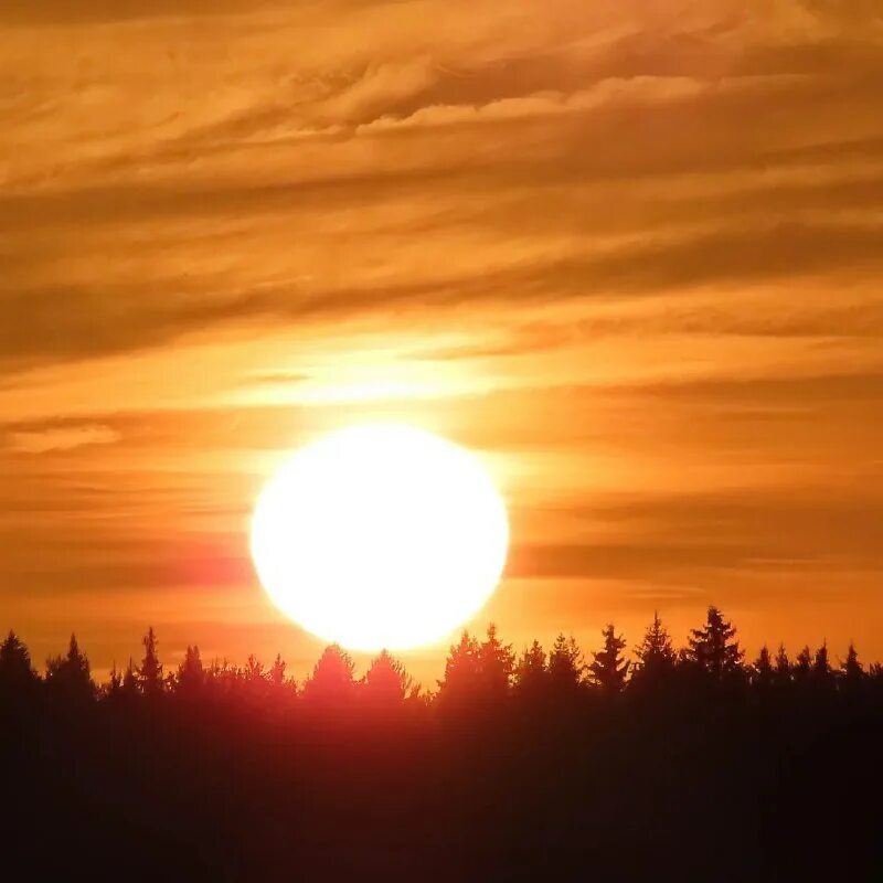 похожее на раскаленный шар солнце медленно