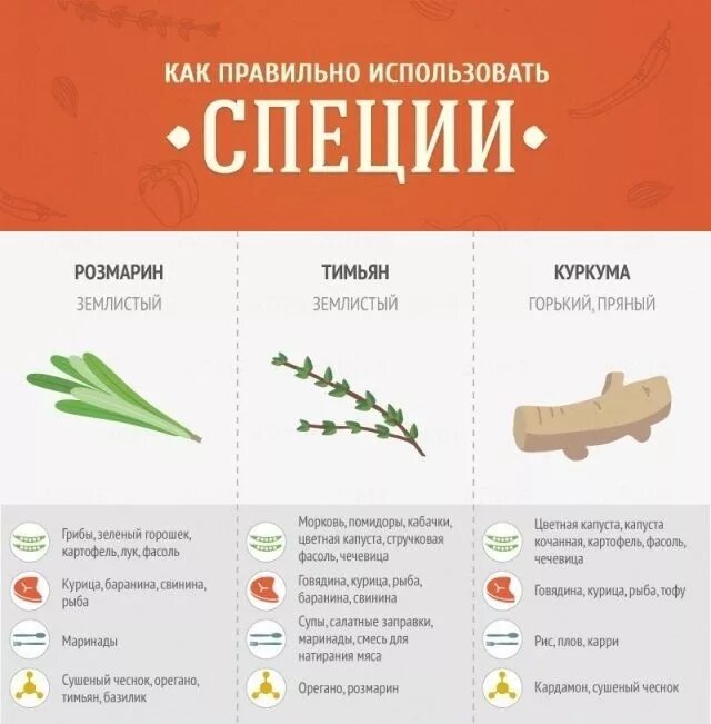 Как правильно использовать специи. Сочетание специй с продуктами. Инфографика специи. Специи шпаргалка.