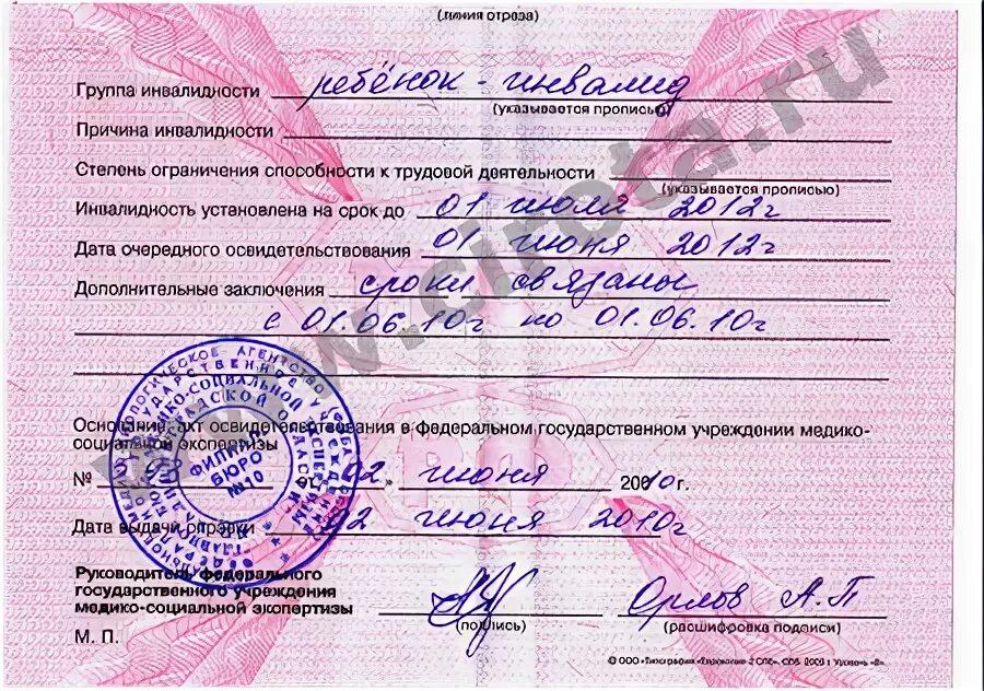 Как выглядит розовая справка Лист инвалидности