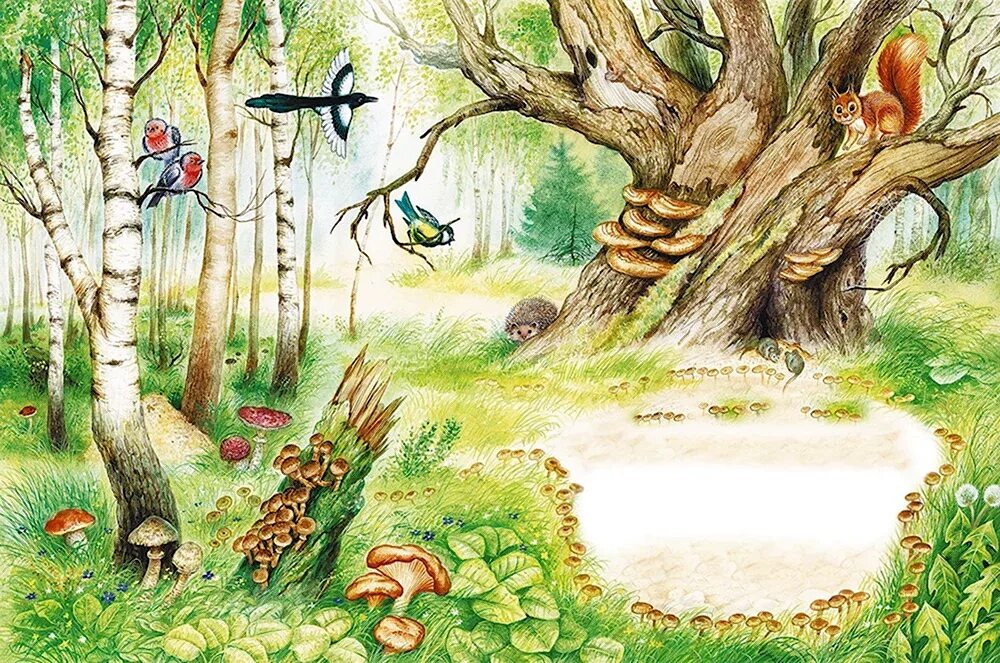 Сказки леса в музыка. Сказки леса в музыка. Лесные музыканты. Книга «лесные сказки». Сказки леса в музыка.