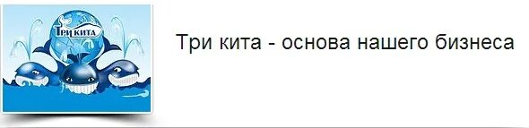 Управляющая кит. Три кита. три кита бизнеса. три кита основы. турфирма три кита в омске.