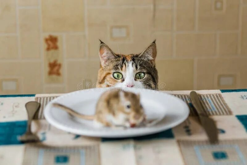 The mice on the table. The mice on the table