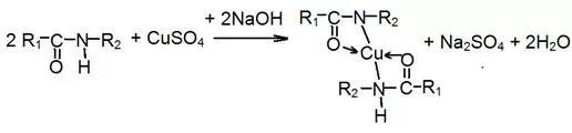 2 cuso4 2naoh. Яичный белок и сульфат меди реакция. Белок и сульфат меди реакция. Яичный белок + сульфат меди 2. Реакция биурета с сульфатом меди 2.
