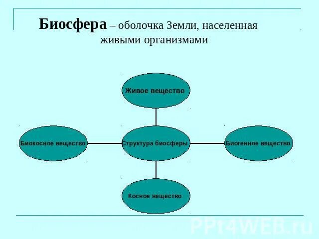 Взаимодействия биосферы с другими оболочками земли относятся. Схема связь биосферы. Связь биосферы с другими оболочками. Схема биосферы с другими оболочками земли. Взаимосвязь биосферы с другими оболочками земли.