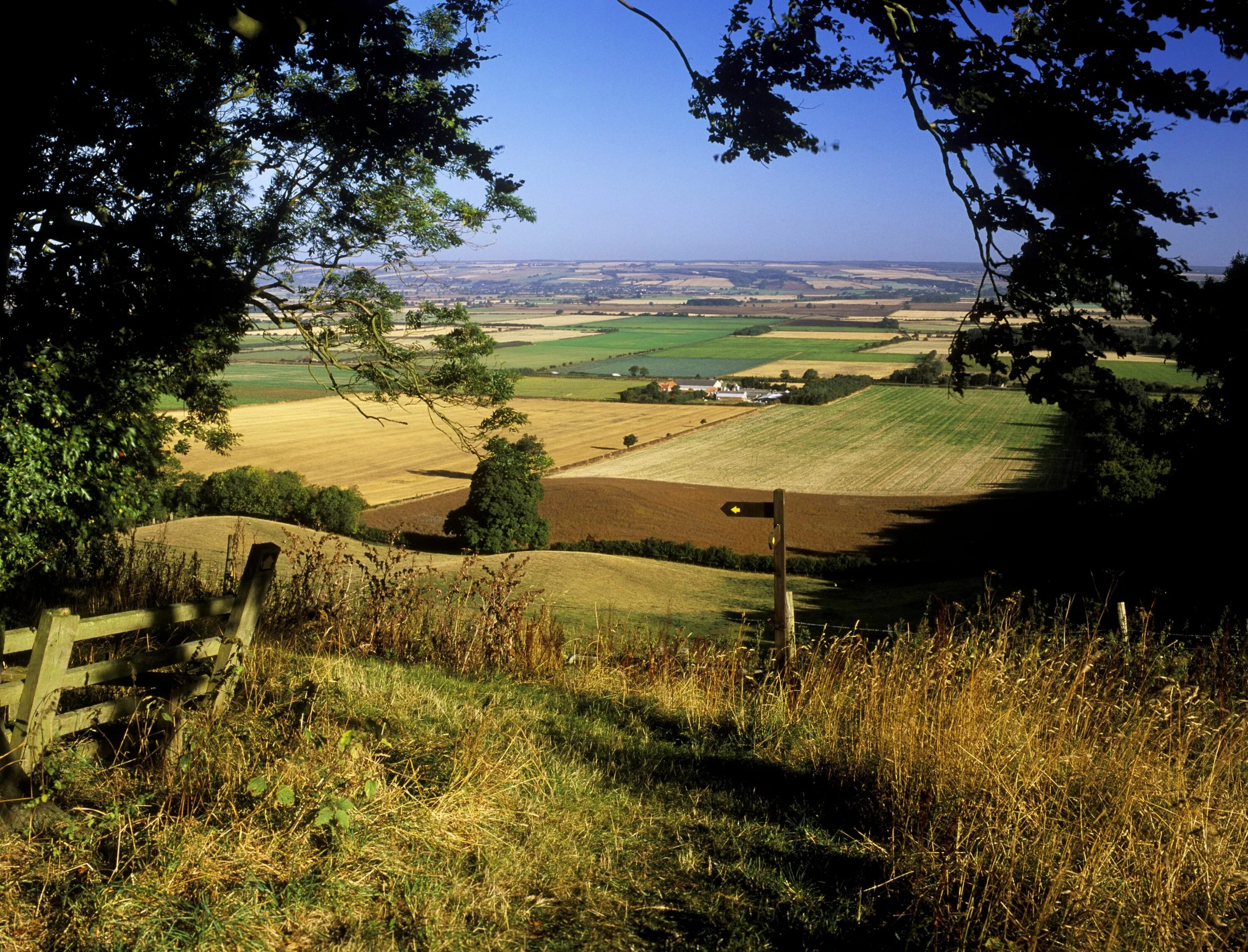 Quiet countryside. Восточный Йоркшир, Англия. Yorkshire Wolds way Йоркшир. Сельская Англия Йоркшир 19 век. Йоркшир графство степь.