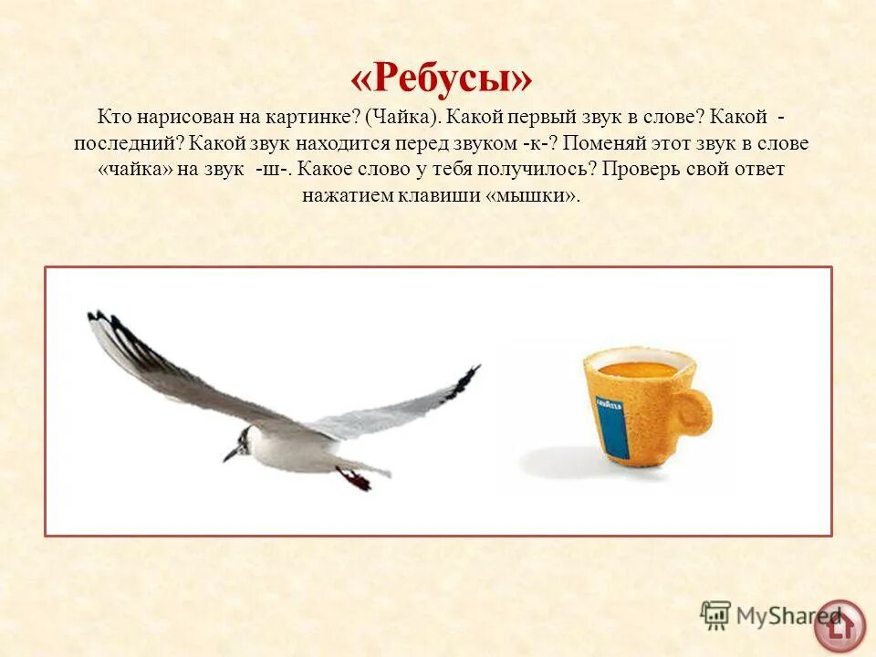 звуки слова чайки. слова в которых все согласные мягкие 1 класс. звуки слова чайки. обведи номер верного утверждения о слове земля. предложение с чайкой.