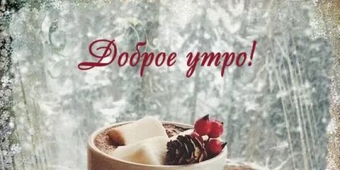 Доброе дождливое утро вторника