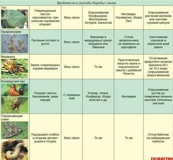 Определение вредителей и болезней