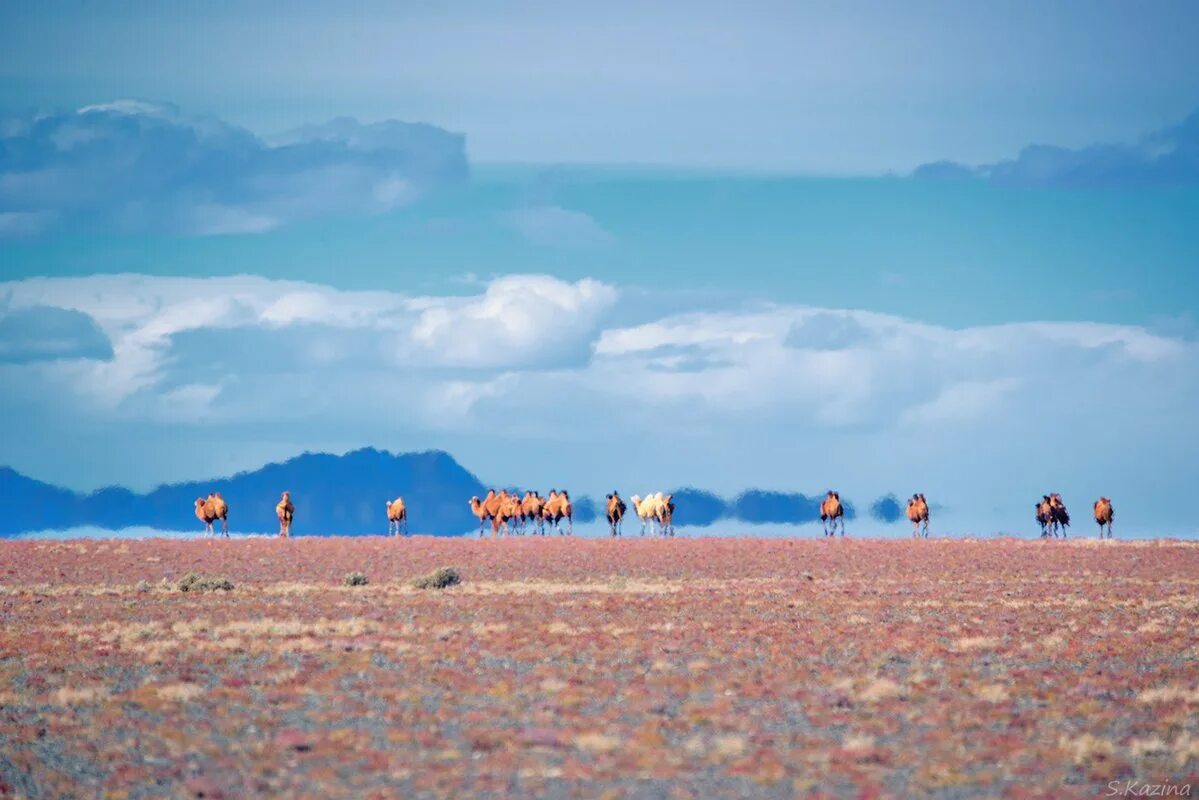 Оптическое явление в пустыне. Мираж оптическое явление. мираж атмосферное явление. мираж в пустыне явление. мираж природное явление.