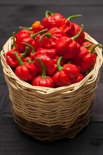 Dream peppers