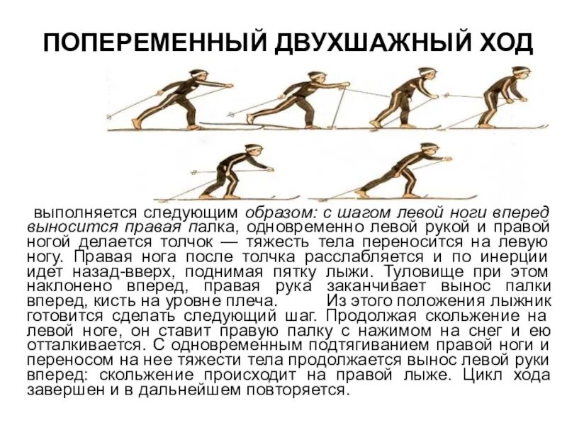 Выполняется следующим образом. Попеременный двухшажный шаг. попеременный двухшажный ход. назовите лыжный ход с шагом левой ноги вперед выносится правая палка. одновременно двухшажный й ход выполняется следующим образом.