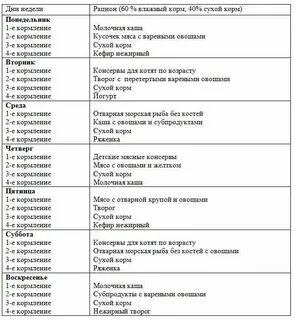 Чем кормить 2 месячных