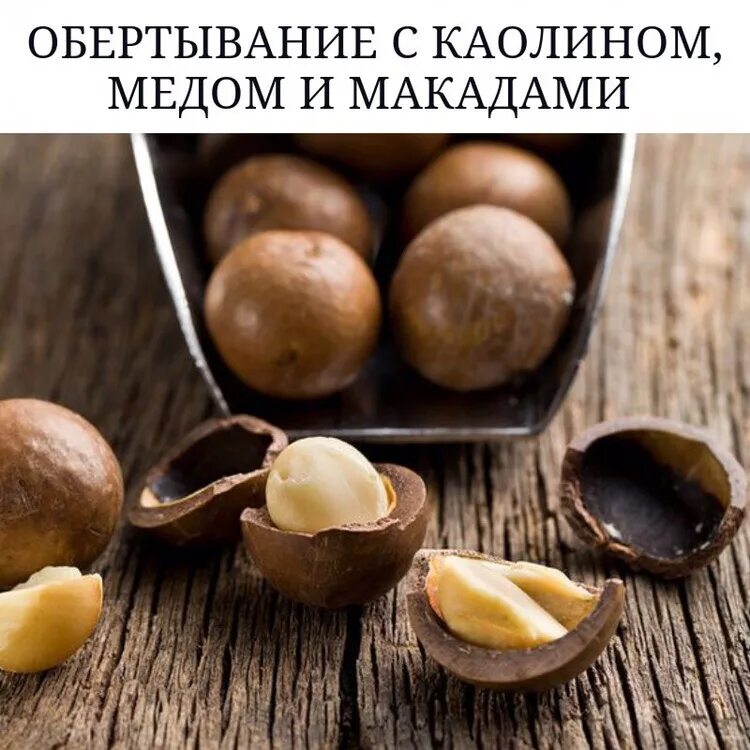 Орех макадамия почему сладкий. Macadamia integrifolia. Королевский орех макадамия. Скорлупа ореха макадамия. Макадамия в скорлупе.