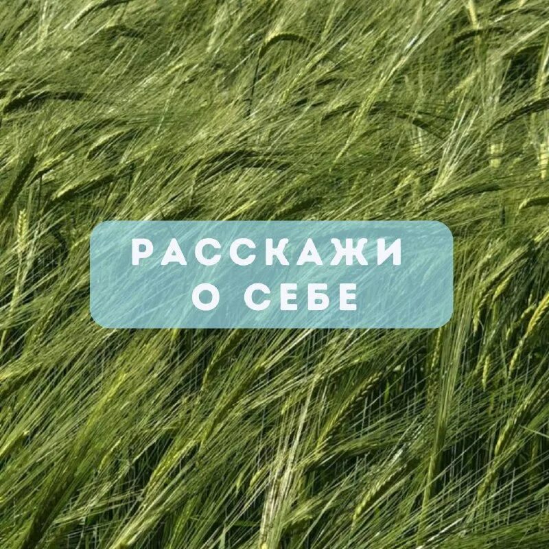Чистая жизнь сайт. Чистая жизнь сайт