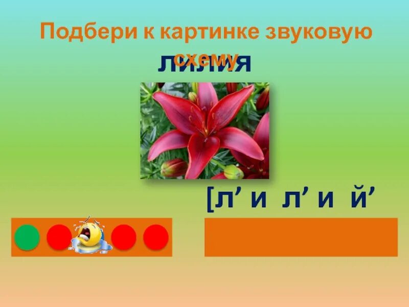 Цветы количество звуков. Лилия звуковая схема. Звуковой анализ Лилия. Звуковой анализ слова Лилия. Звуковая схема слова лилии.