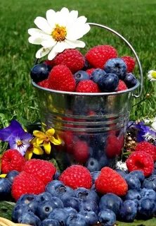 Вкус лета ягоды
