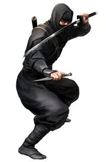 Ninjutsu sora v2