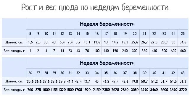 33 недели отзывы. Вес плода в 26 недель беременности норма таблица. Вес и рост плода по неделям беременности. Вес плода в 20 недель беременности норма таблица. Вес плода в 20 недель беременности норма.