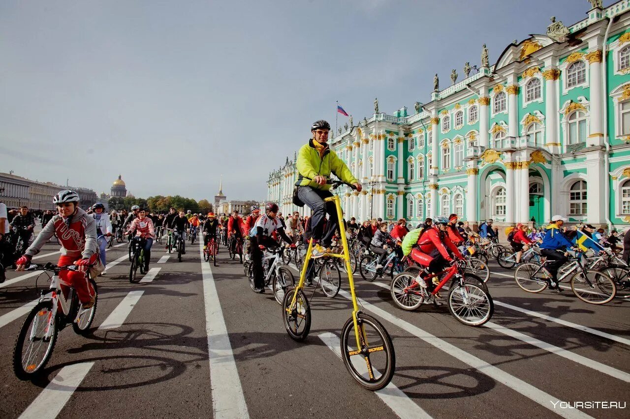 Новости москвы спб. Велодорожки в Петергофе. Велопарад 2022 в СПБ. Велопарад Дворцовая площадь. Велопарад в Питере 2016 год.