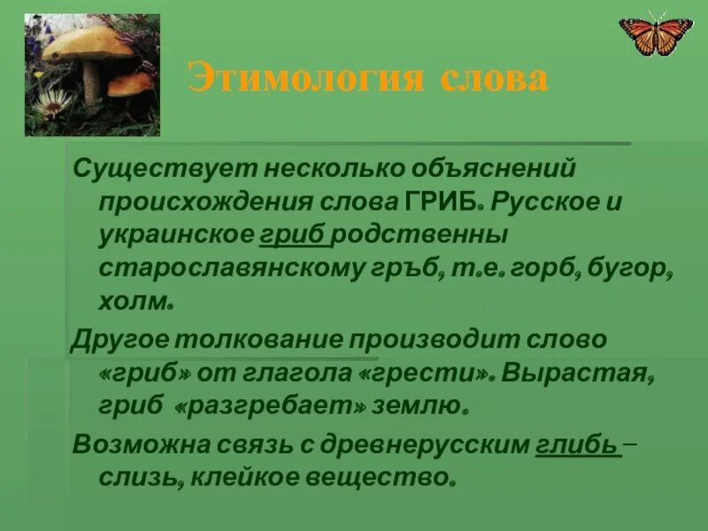 Слово гриб. Фразеологизм со словом гриб. Происхождение слова гриб. Гриб Этимологическое слово. Этимология слова гриб.