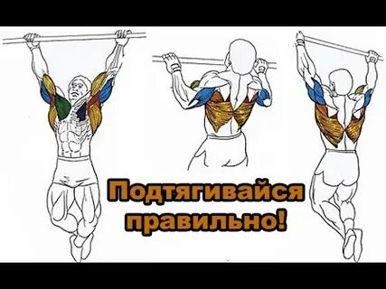 Хочется подтягиваться