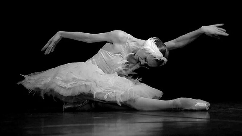 Умирающий лебедь лопаткина. Лопаткина лебедь. Сен-санс лебедь и балерина. Лебедь балерина лопаткина. Ульяна лопаткина.