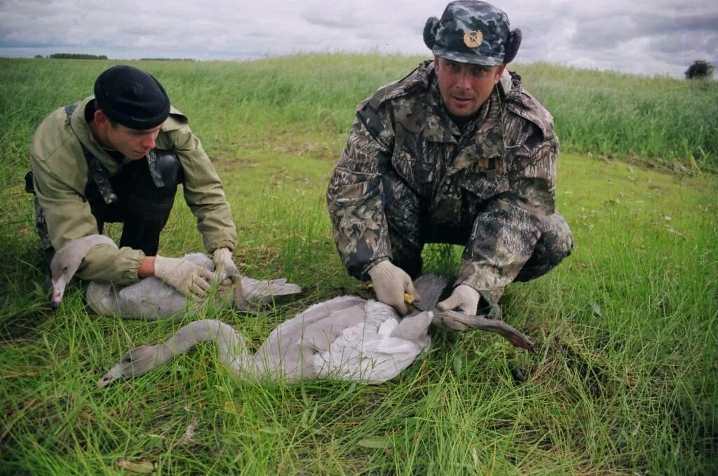 Научные исследования заповедник. Орнитолог. Работник зоопарка. Работники заповедника профессии. Игорь карякин орнитолог.