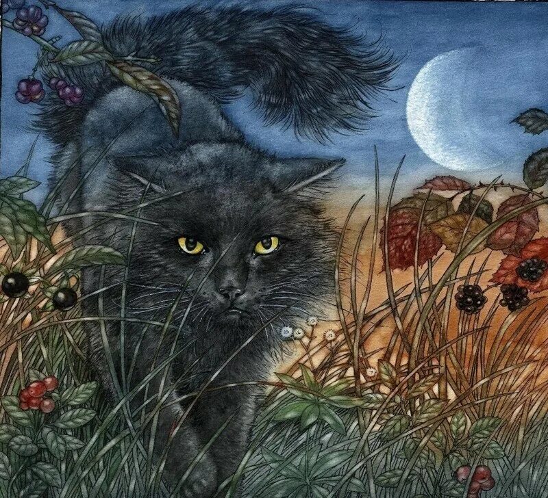 Кот старославянский. Кот старославянский. Баюн славянская мифология. Кот старославянский. Русская мифология кот баюн.