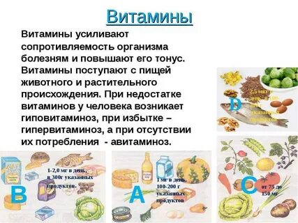 Роль витаминов в нашем питании 2 класс