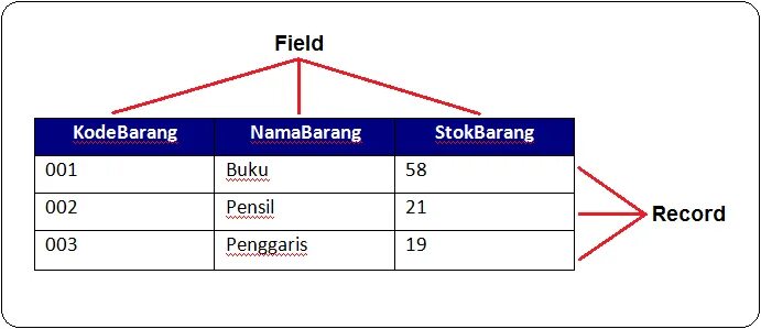 Data fields. Таблица db. data field. database field and record. field data сайта.