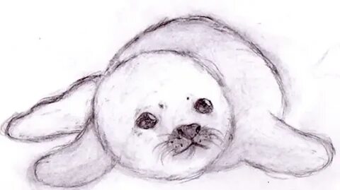 Рисовать морских котиков