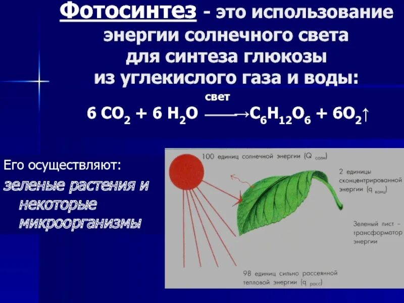 На первом этапе молекулы улавливают солнечный свет