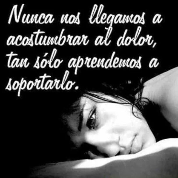 Nulla dolor. Nulla dolor