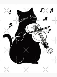 Нот коте