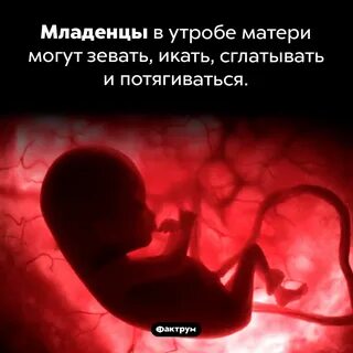 Почему плод икает в утробе