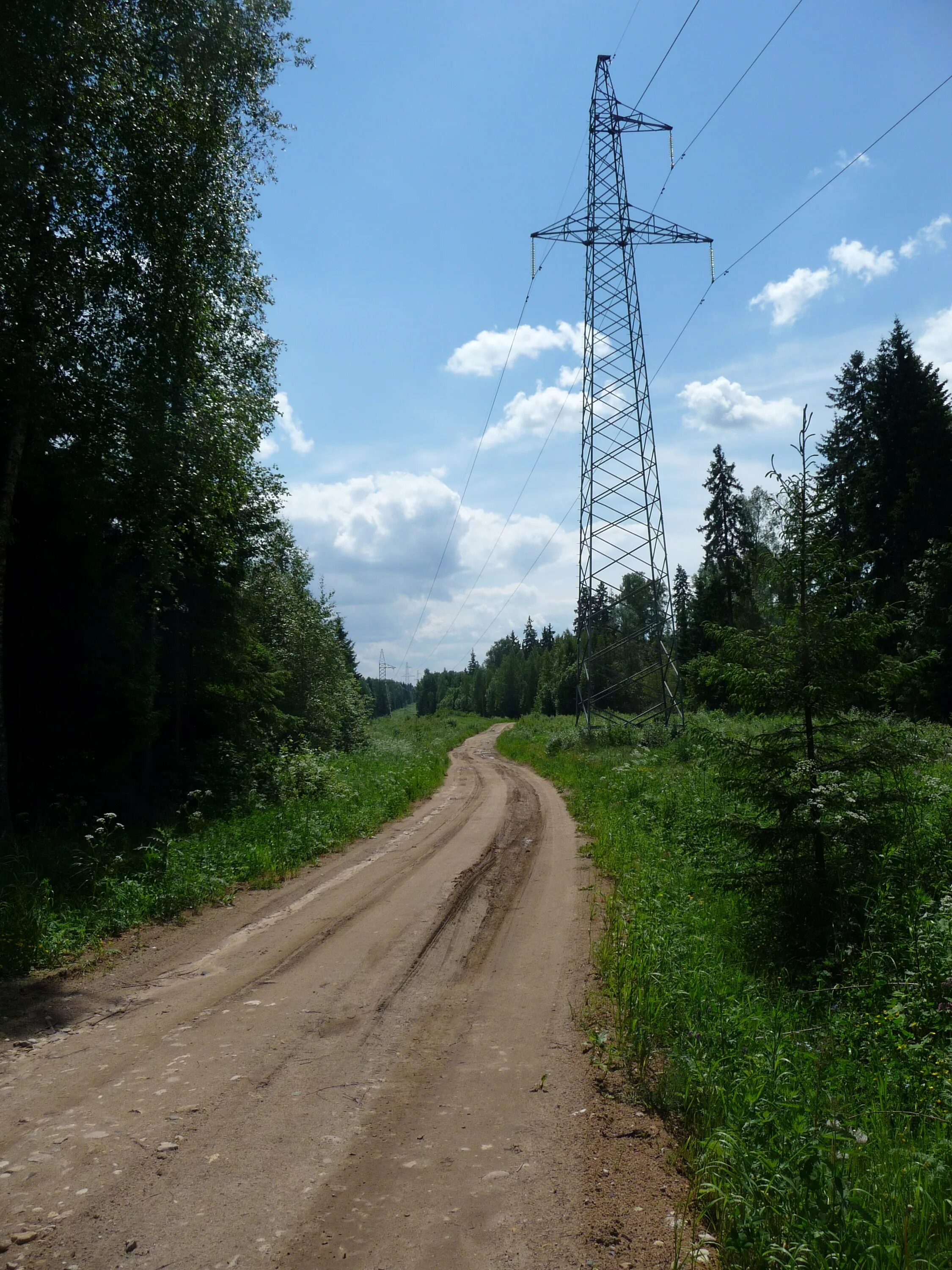 Линии просек. Просека вл 110 кв. гайтолово просека лэп. просеки лэп. просека под лэп.