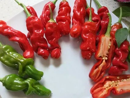 Перец похожий