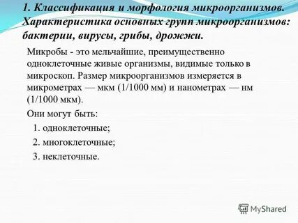 Основы морфологии