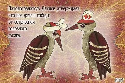 Песни группы дятлы