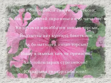 Энилэр коненэ открыткалар татарча